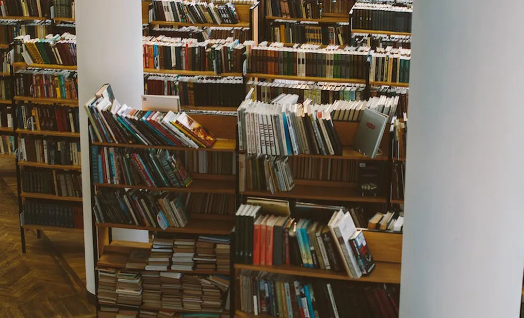 Higher education background checks and campus screening