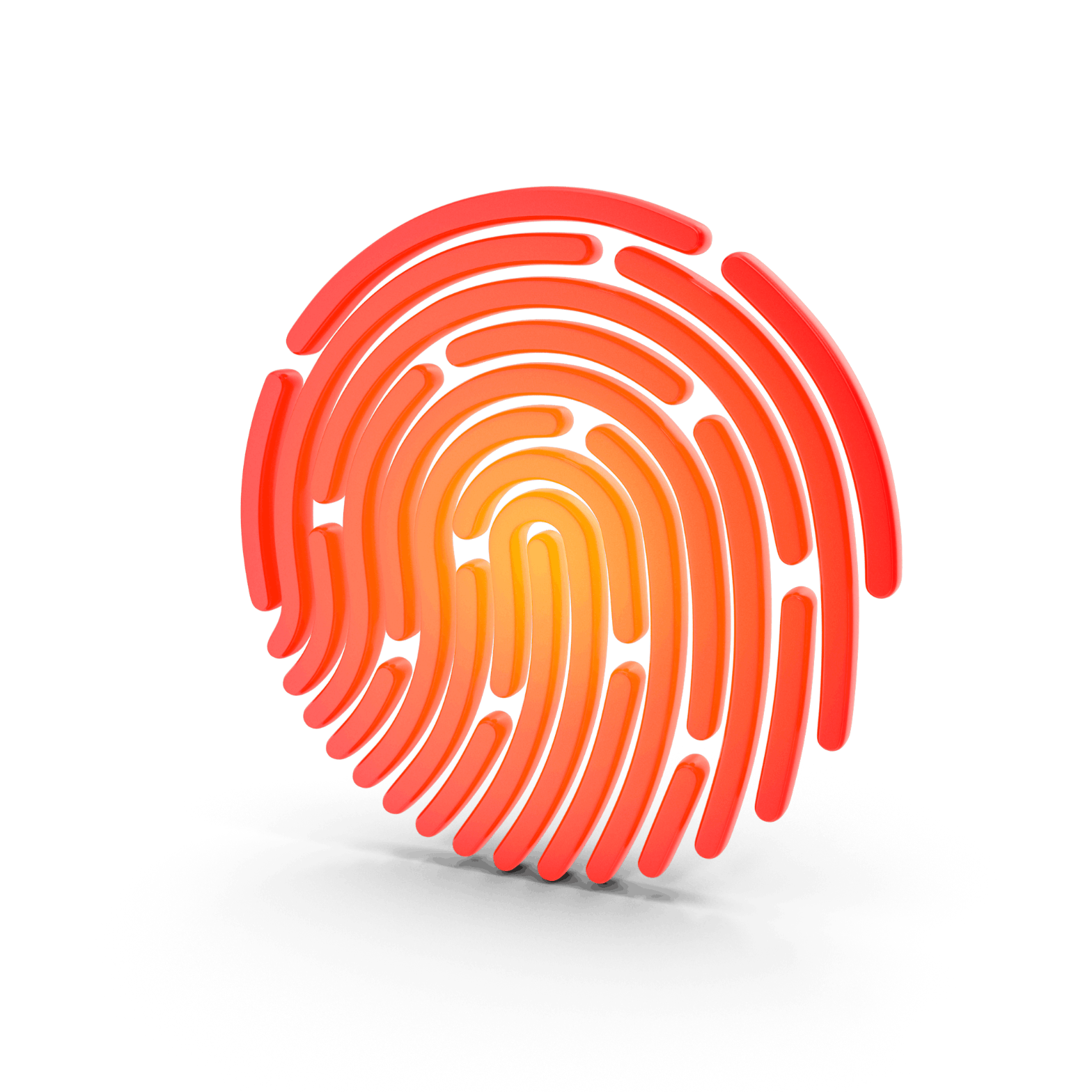 3rd Degree biometric identity verification